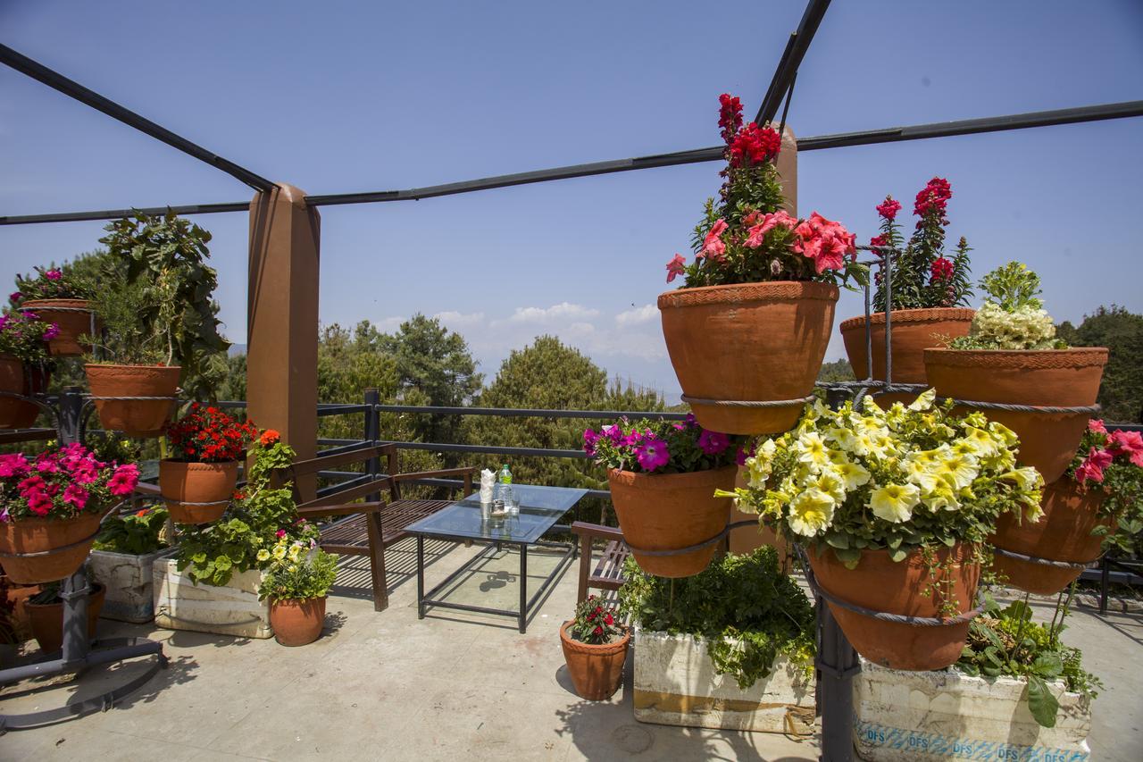 Langtang View Nagarkot Bed&Breakfast Bagian luar foto